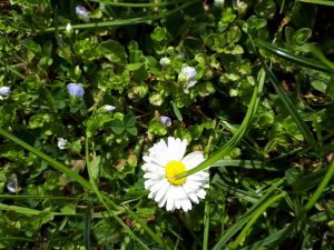 Weekly Design Recap #3