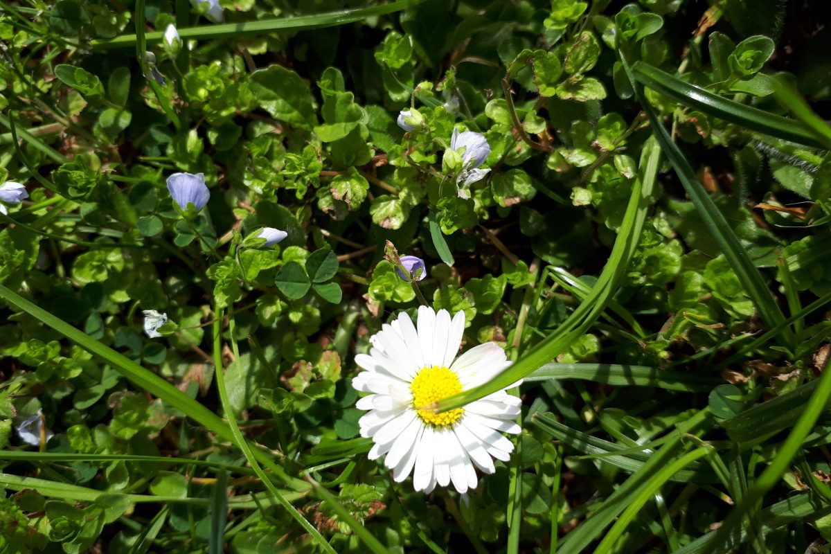 Weekly Design Recap #3