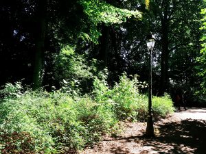 Processed with VSCO with k1 preset