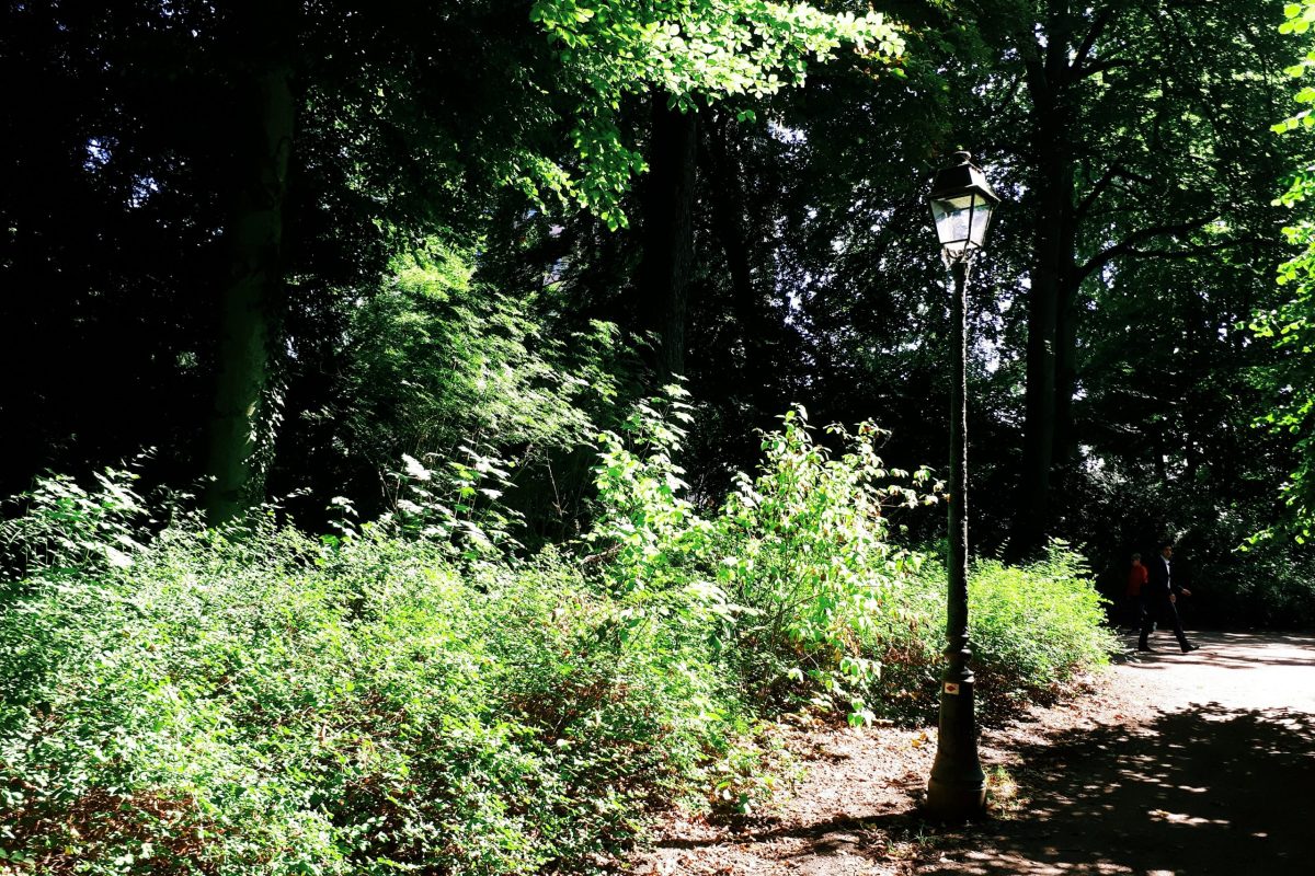 Processed with VSCO with k1 preset