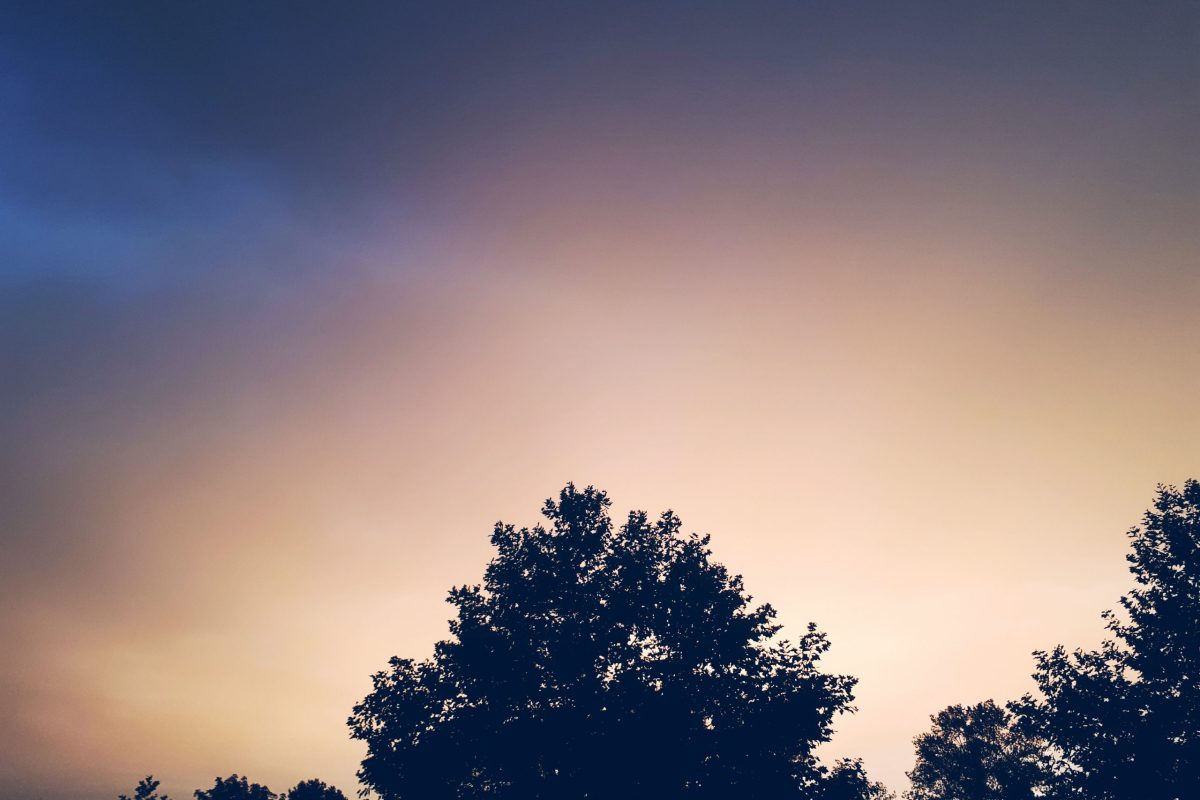 Processed with VSCO with 7 preset