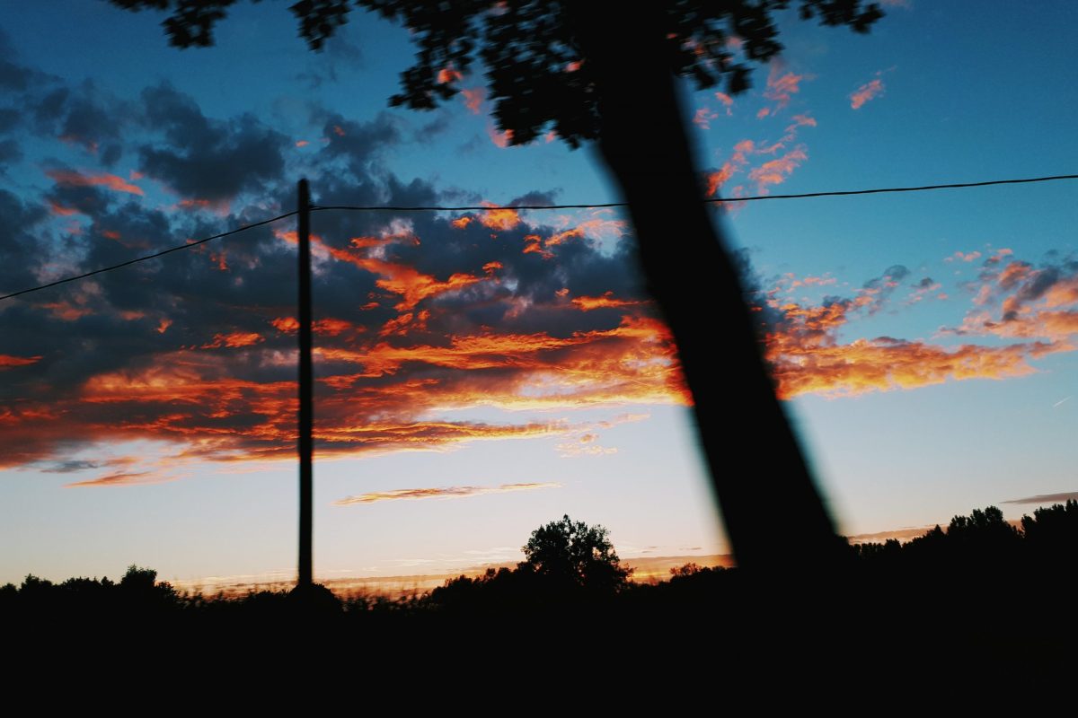 Processed with VSCO with c6 preset