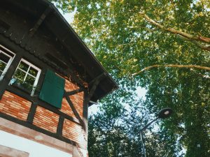 Processed with VSCO with c7 preset