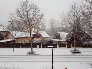 Processed with VSCO with 10 preset