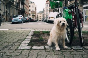 Processed with VSCO with a1 preset