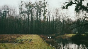 Processed with VSCO with m2 preset