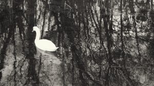 Processed with VSCO with x5 preset