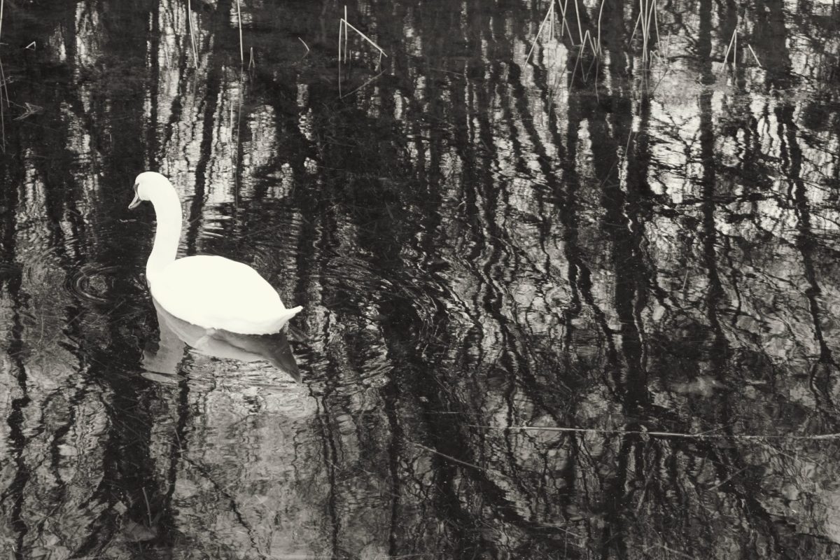 Processed with VSCO with x5 preset