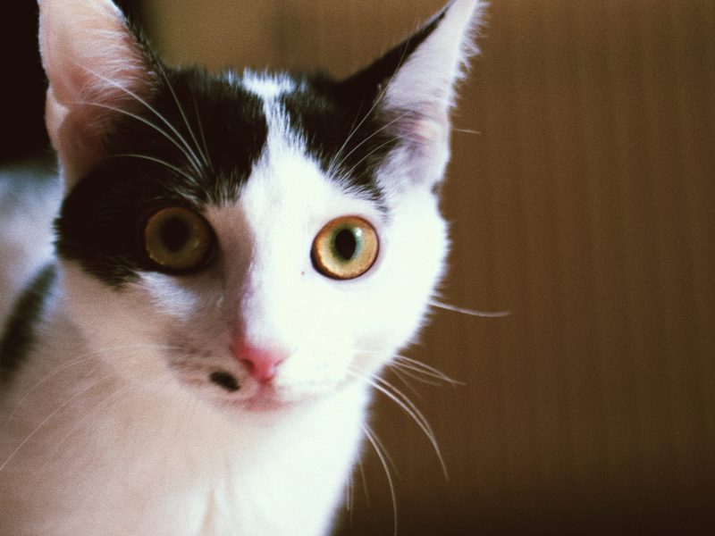 Processed with VSCO with fa1 preset