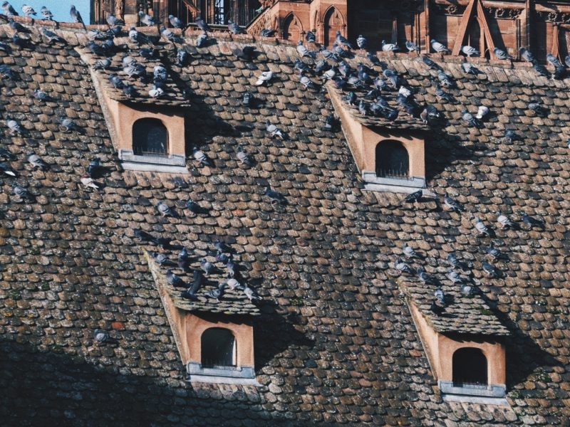Strasbourg, France - 2024